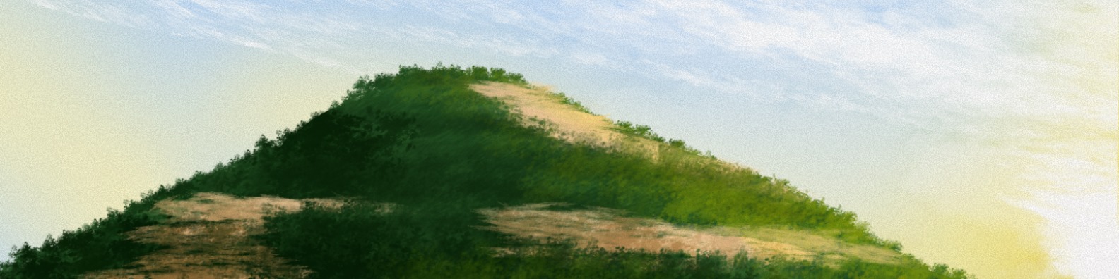 Portfolio banner